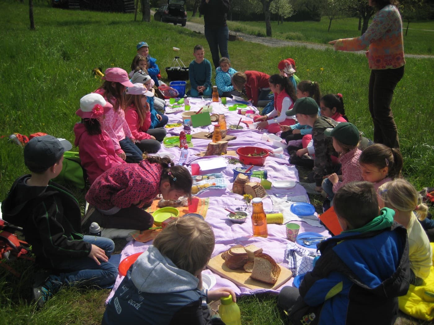 Schulklasse beim Picknick auf der Wiese im Grünen Klassenzimmer